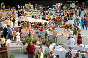 Crowds-Flower-Hall-Expo-2012-IMG_3628