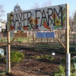 bayer-farm-signage-009-1-_620x415